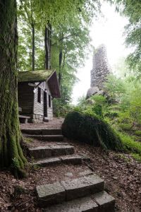 Im Schwarzwald