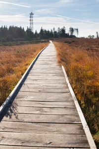 Wandern im Schwarzwald